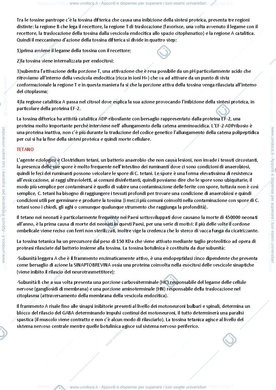 Anteprima pagina 3 — esotossine