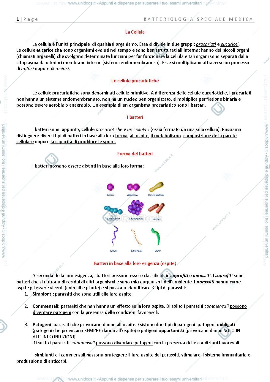 Anteprima pagina 1 — Microbiologia