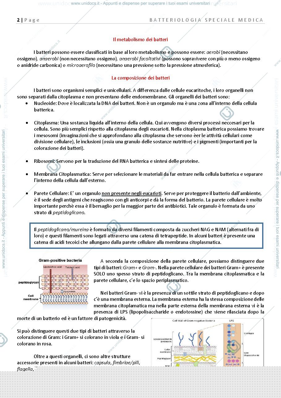 Anteprima pagina 2 — Microbiologia