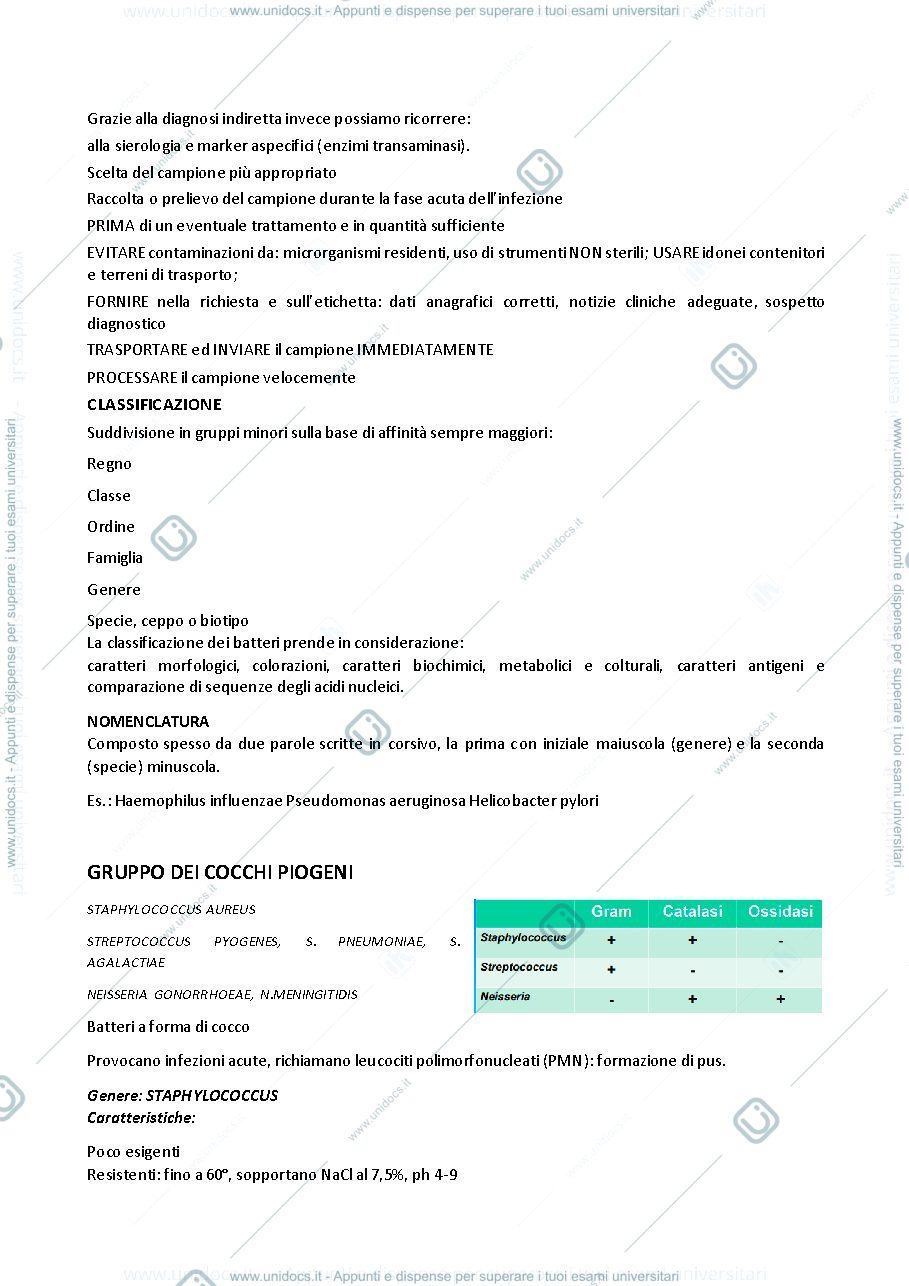 Anteprima pagina 2 — Microbiologia 