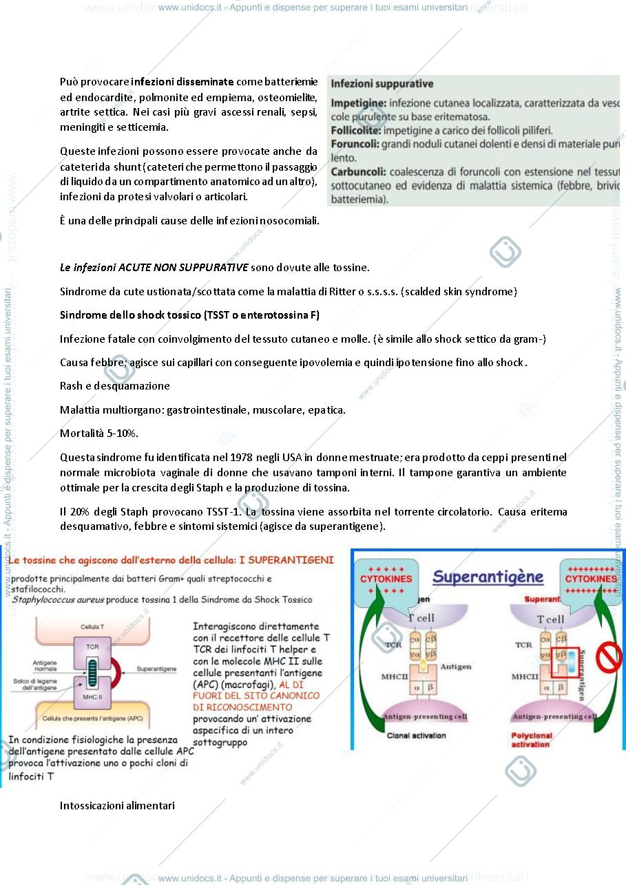 Anteprima pagina 4 — Microbiologia 
