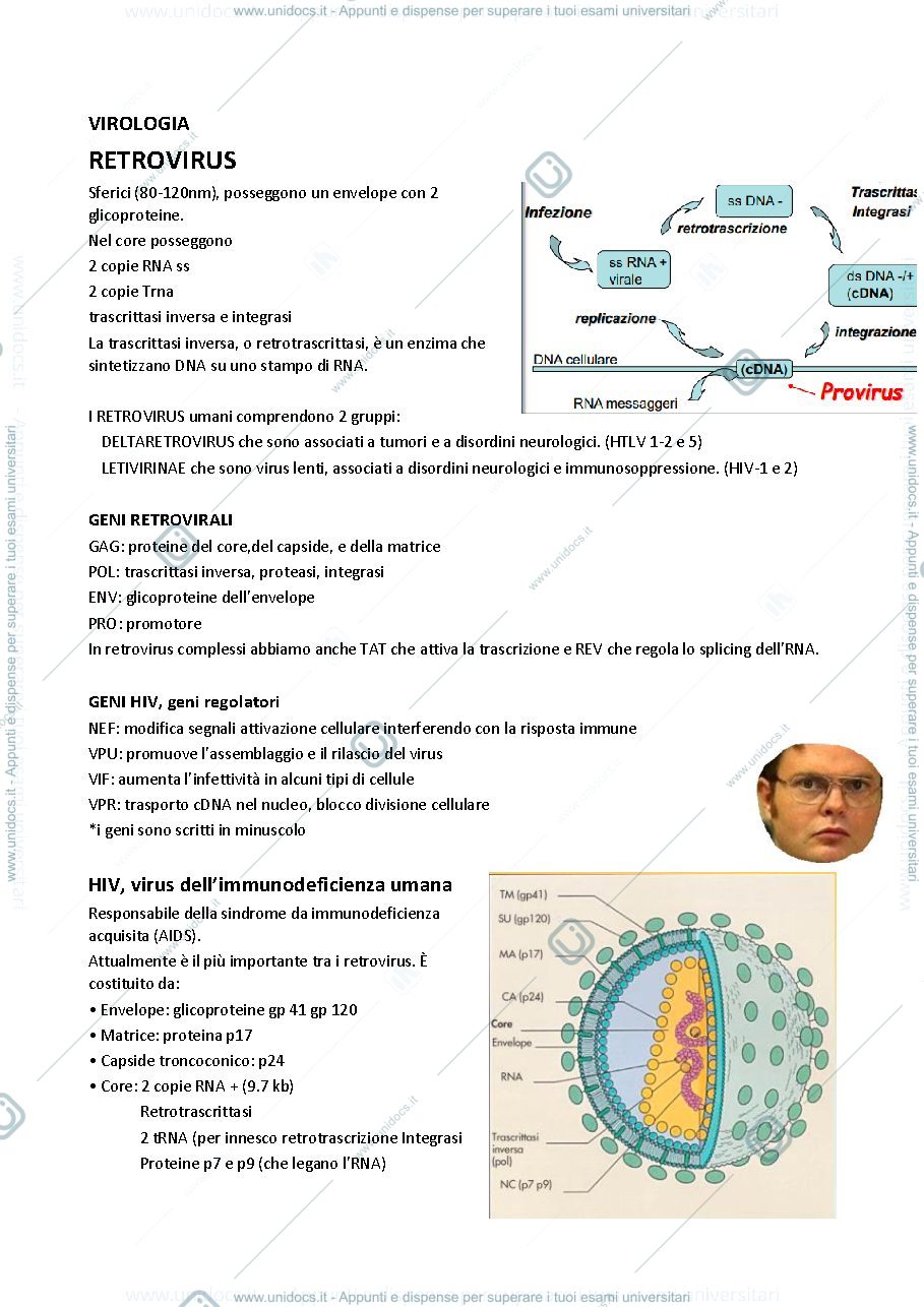 Anteprima pagina 1 — VIROLOGIA