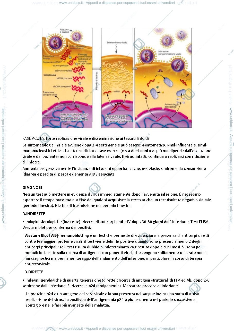 Anteprima pagina 3 — VIROLOGIA