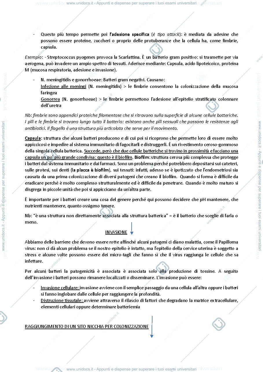 Anteprima pagina 3 — Microbiologia clinica