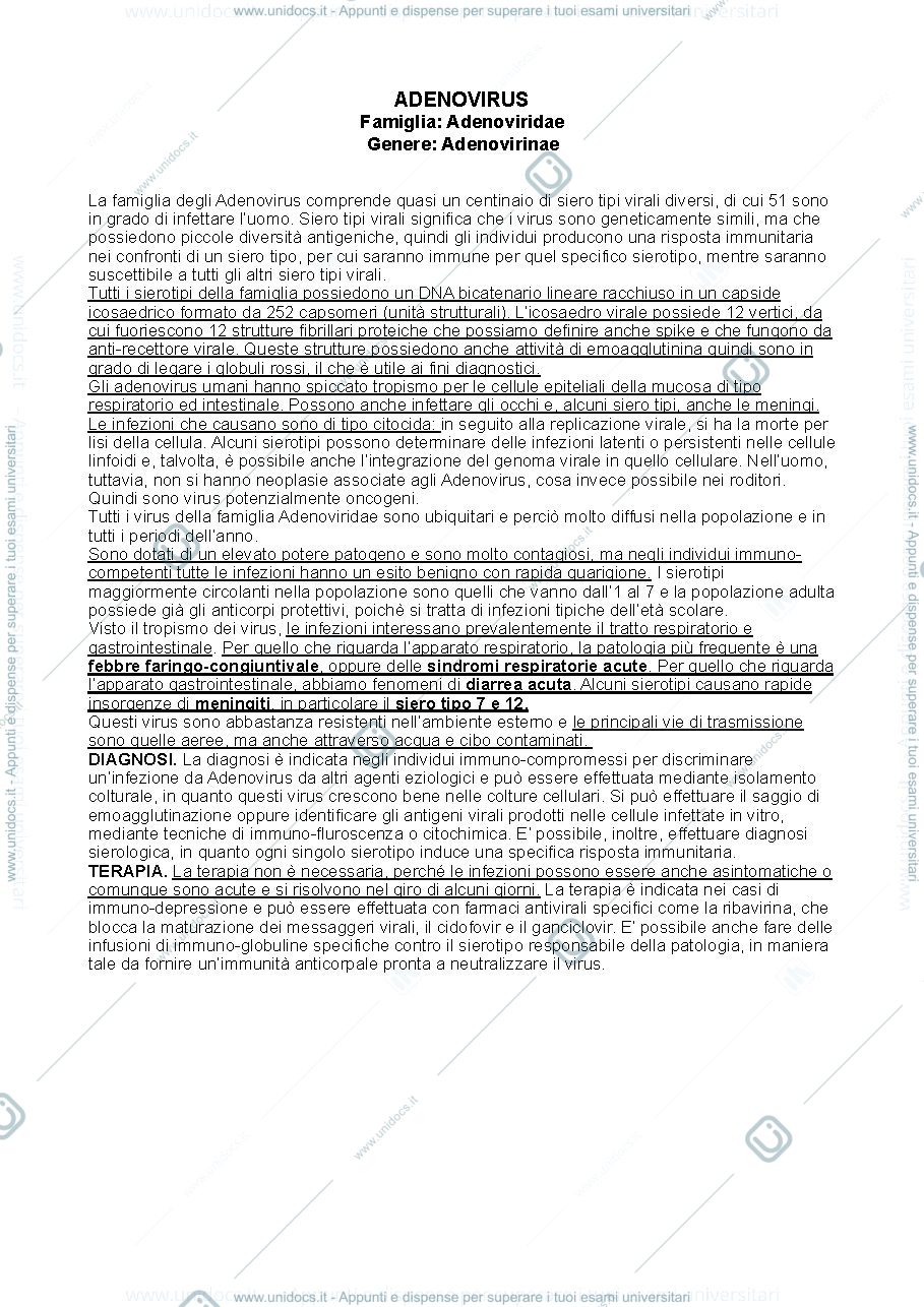 Anteprima pagina 1 — Adenovirus