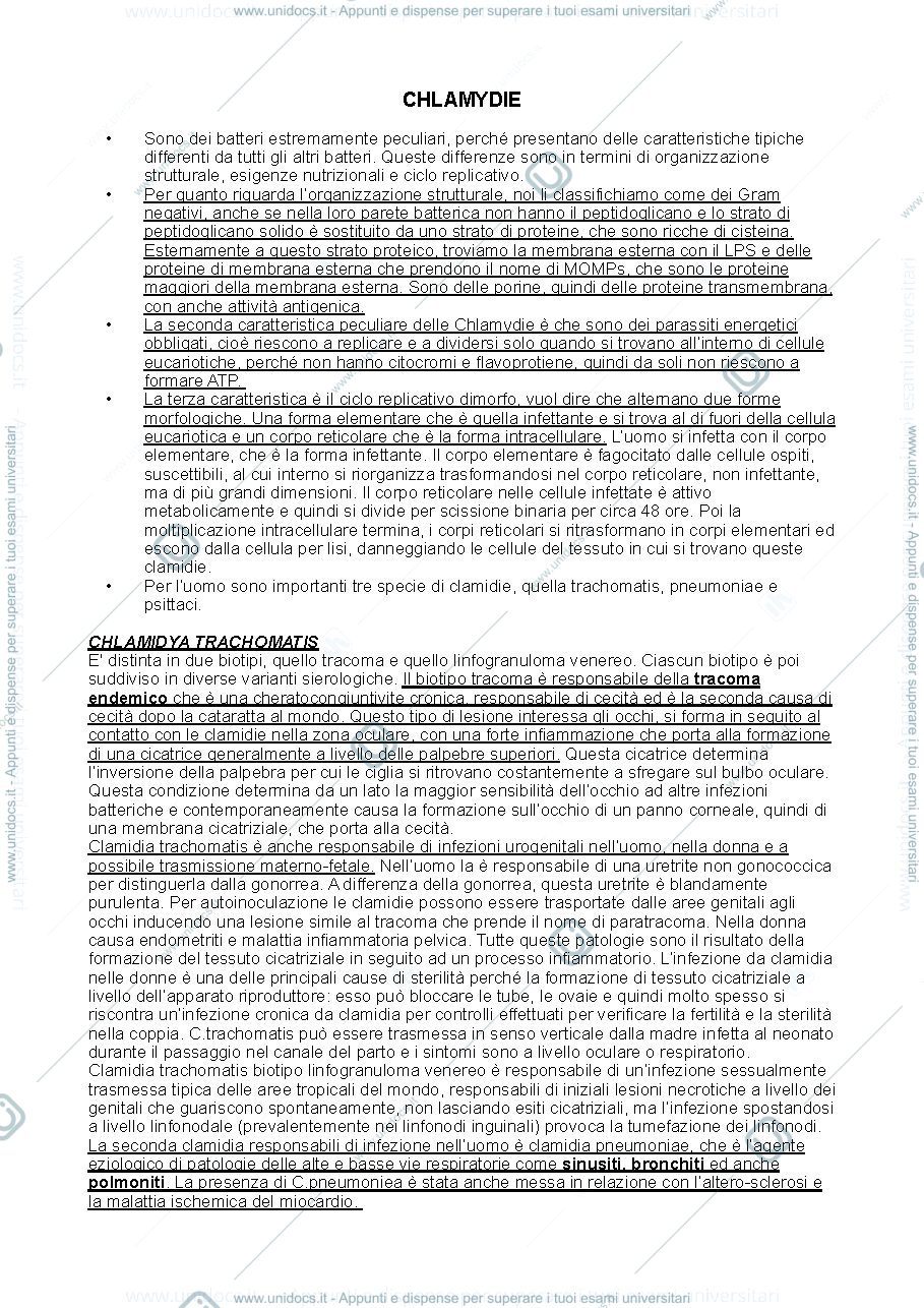 Anteprima pagina 1 — Clamidie