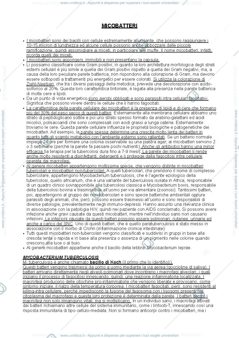 Anteprima pagina 1 — Micobatteri