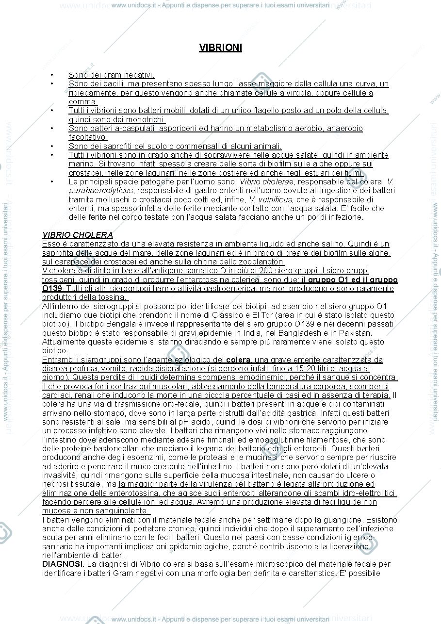 Anteprima pagina 1 — Vibrioni