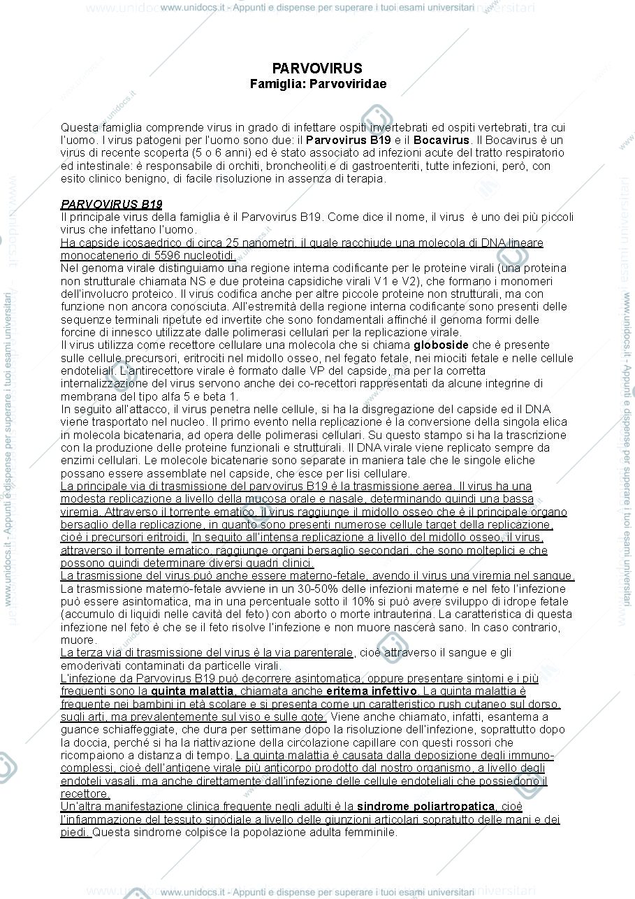 Anteprima pagina 1 — Parvovirus