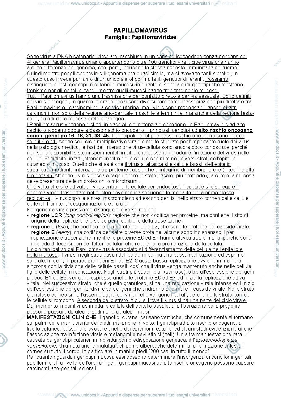 Anteprima pagina 1 — Papillomavirus
