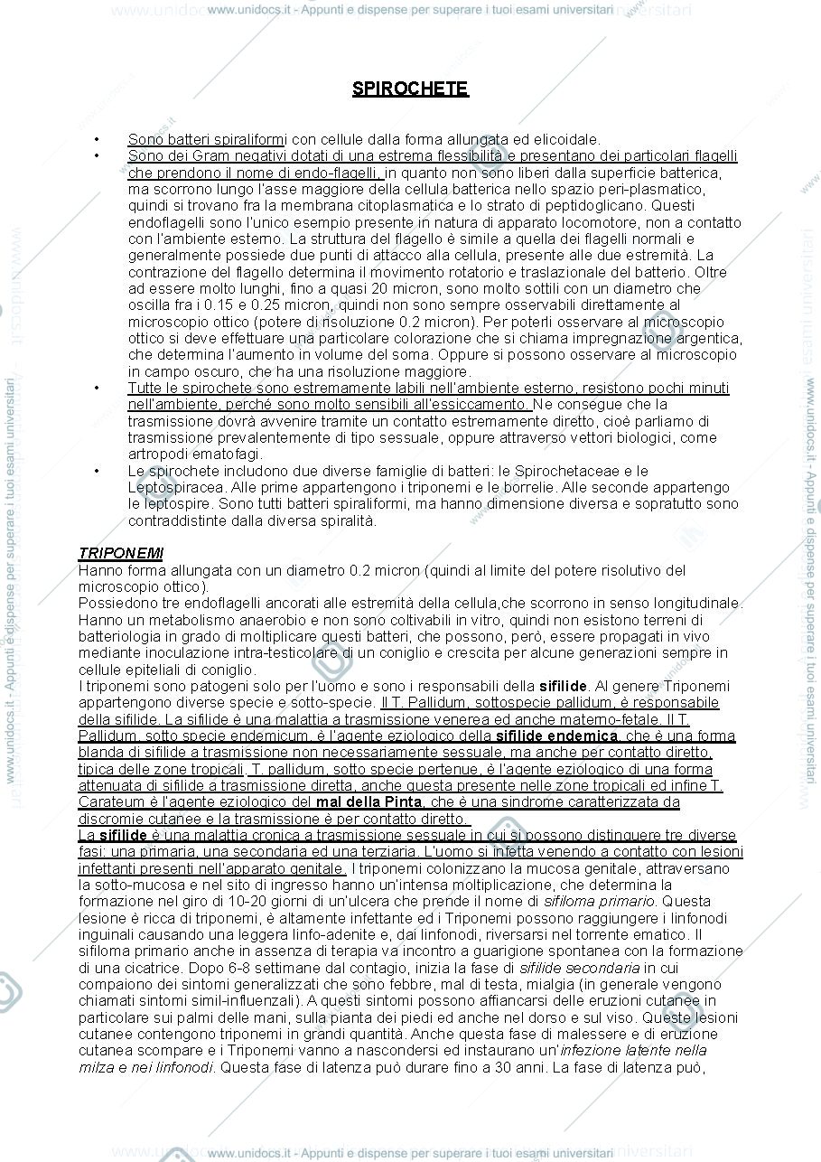 Anteprima pagina 1 — Spirochete