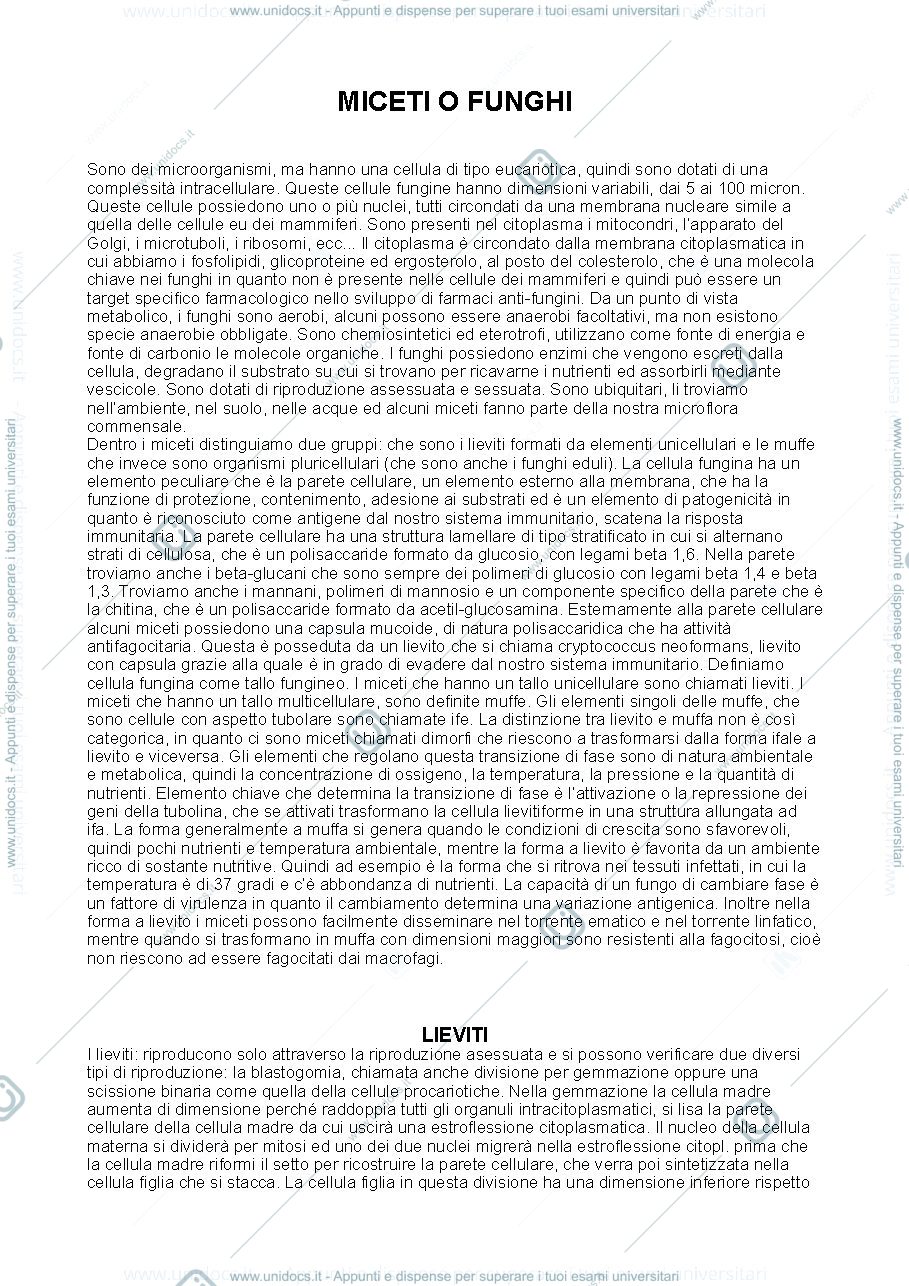 Anteprima pagina 1 — Miceti