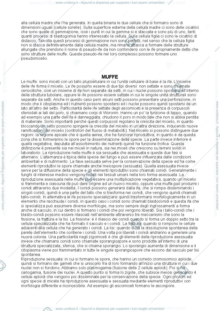 Anteprima pagina 2 — Miceti
