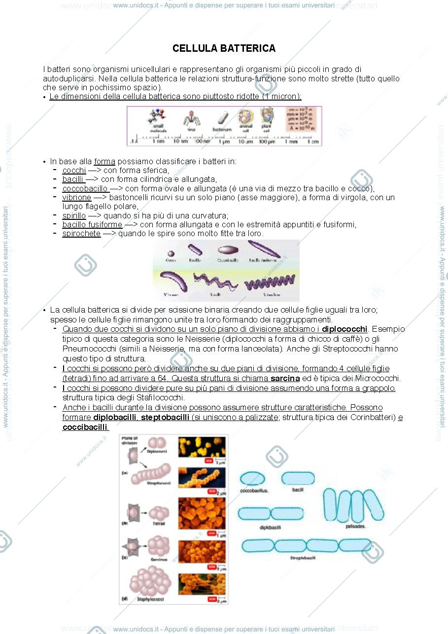 Anteprima pagina 1 — Batteriologia generale