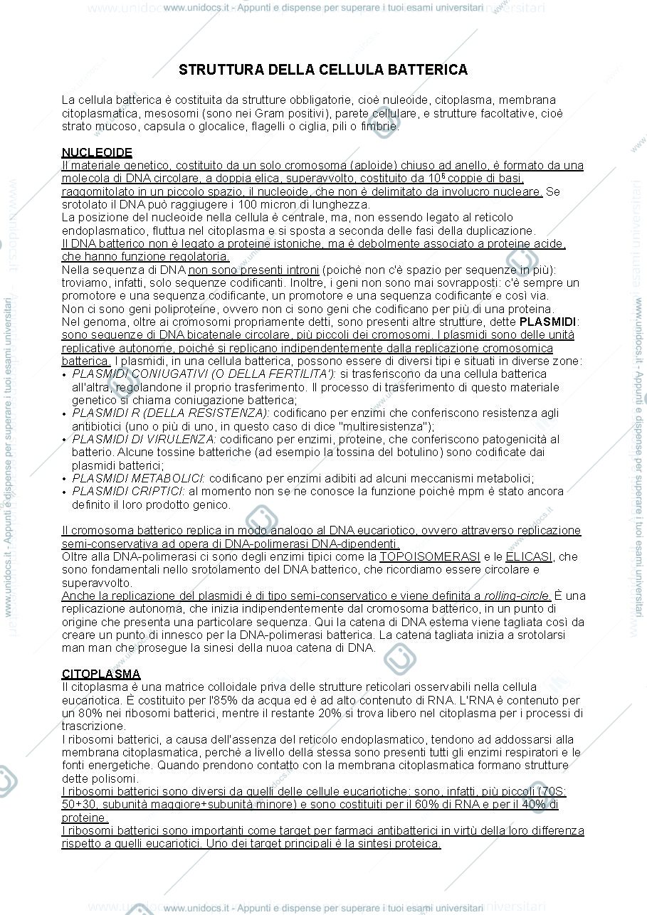 Anteprima pagina 2 — Batteriologia generale