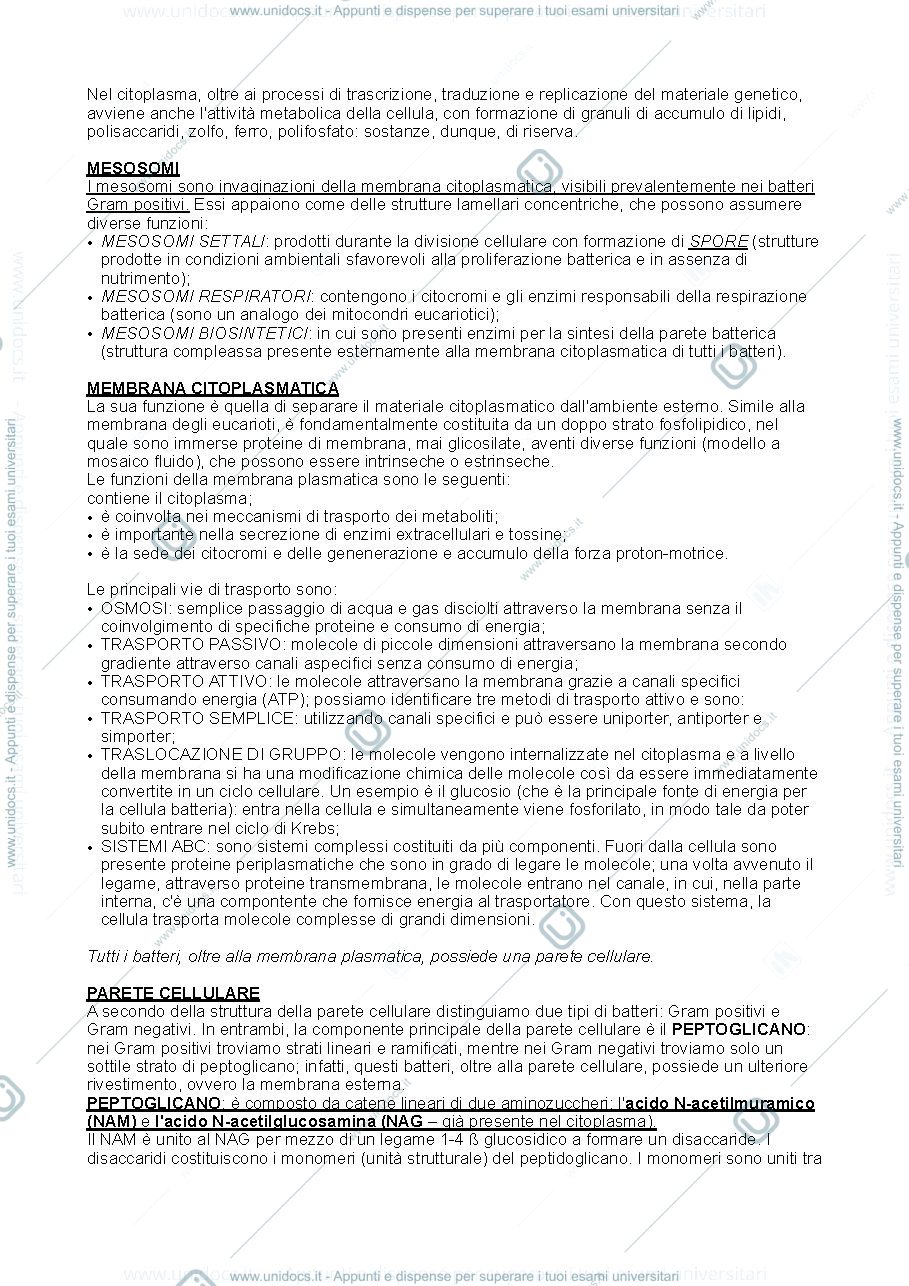 Anteprima pagina 3 — Batteriologia generale