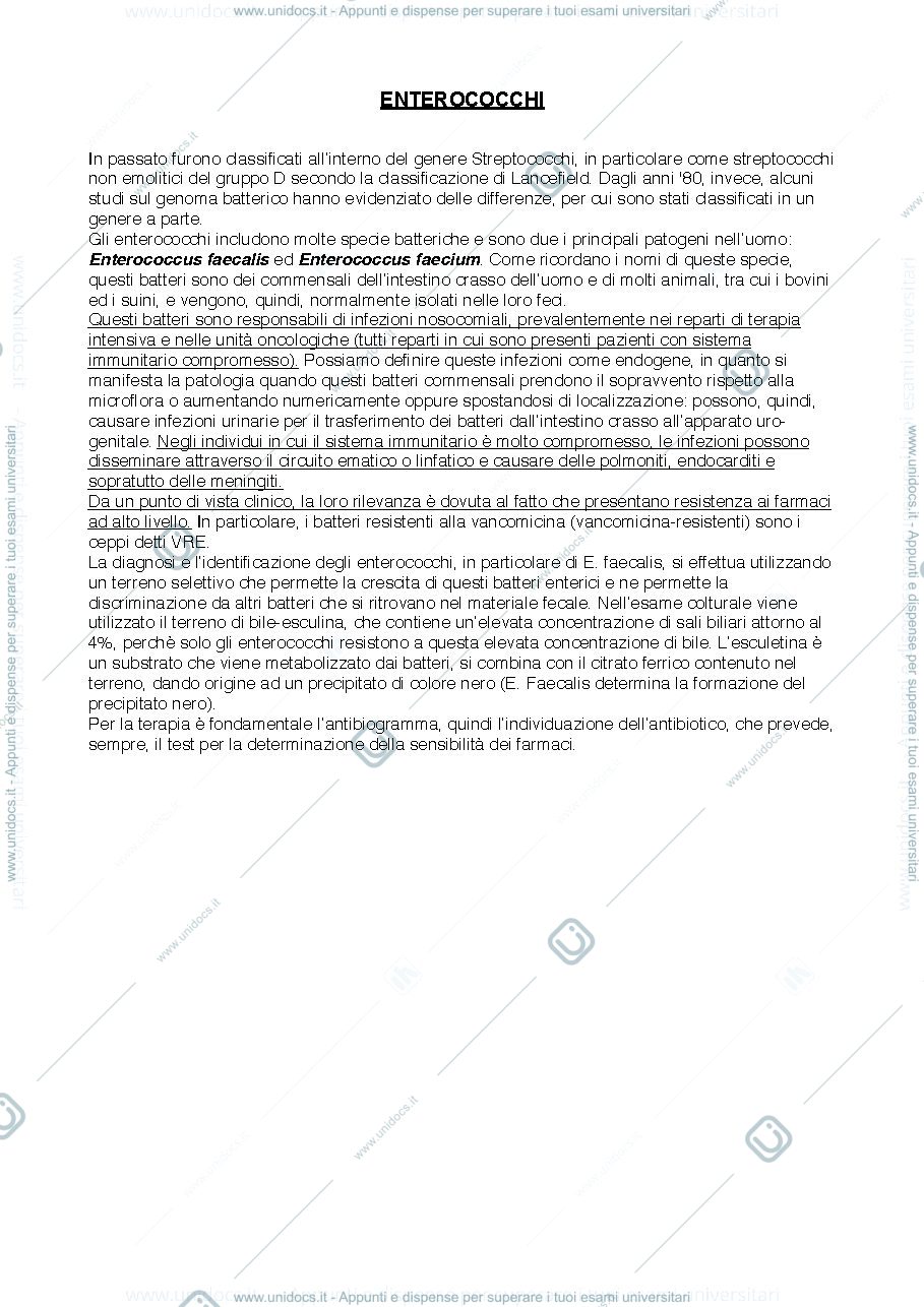 Anteprima pagina 1 — Enterococchi