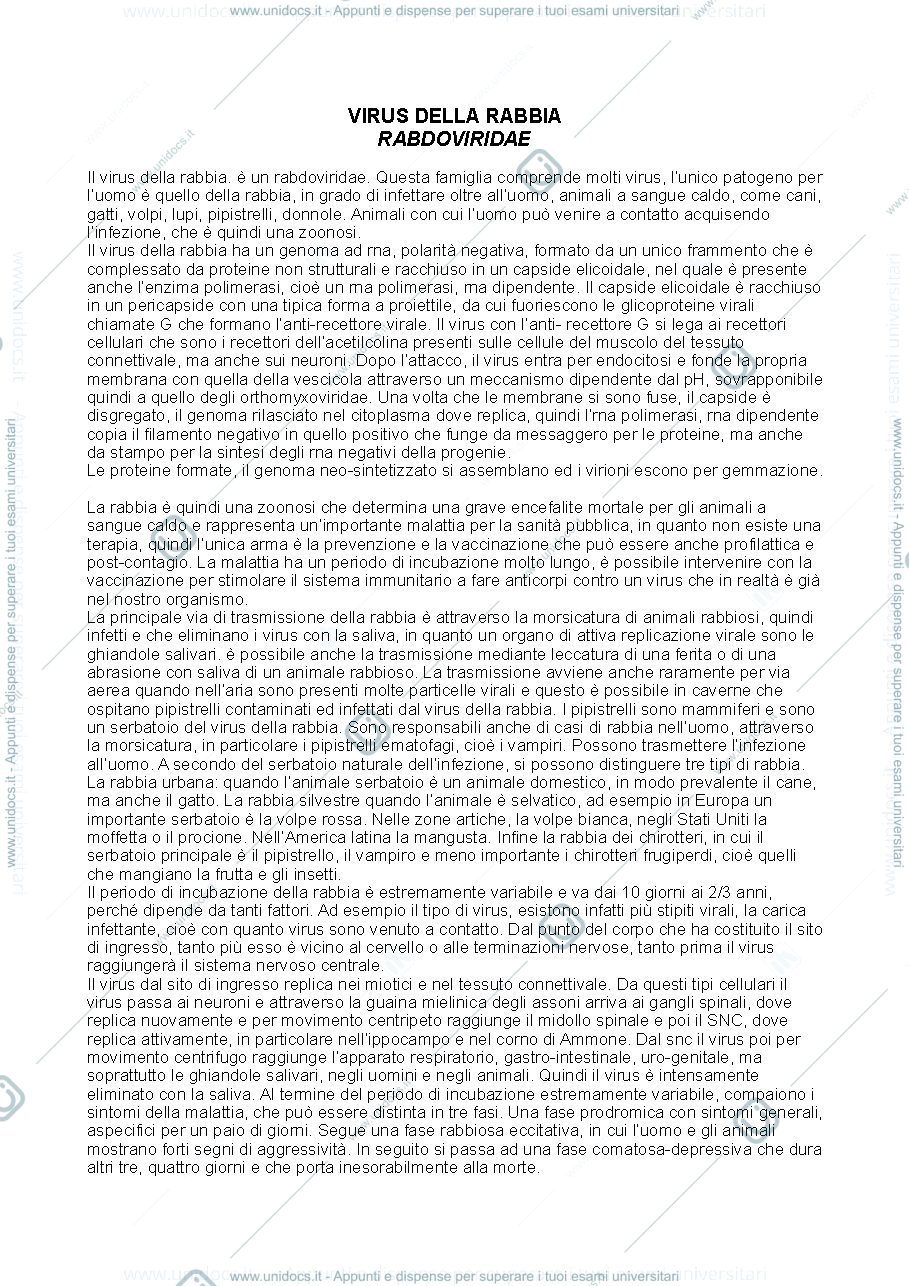 Anteprima pagina 1 — Virus della rabbia