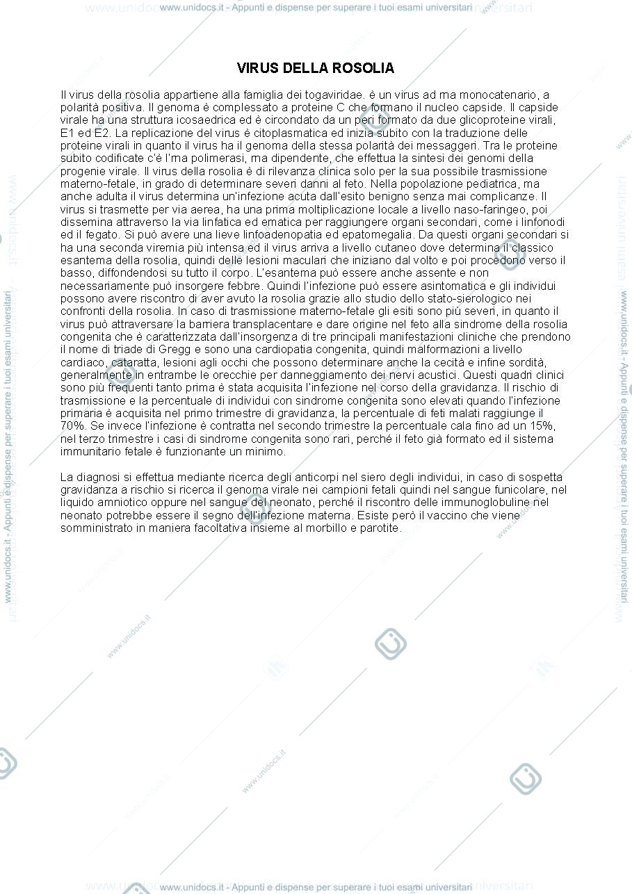 Anteprima pagina 1 — Virus della rosolia
