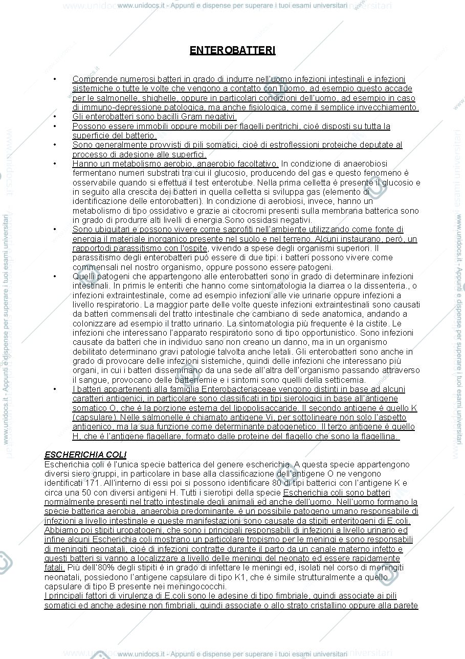 Anteprima pagina 1 — Enterobatteri