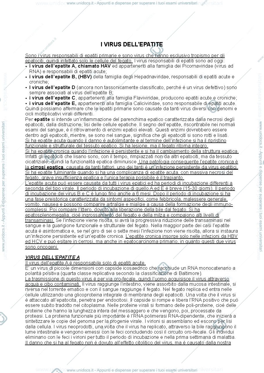 Anteprima pagina 1 — Virus dell'epatite
