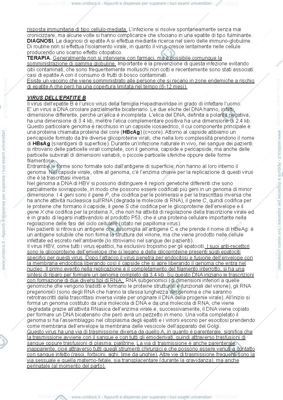 Anteprima pagina 2 — Virus dell'epatite