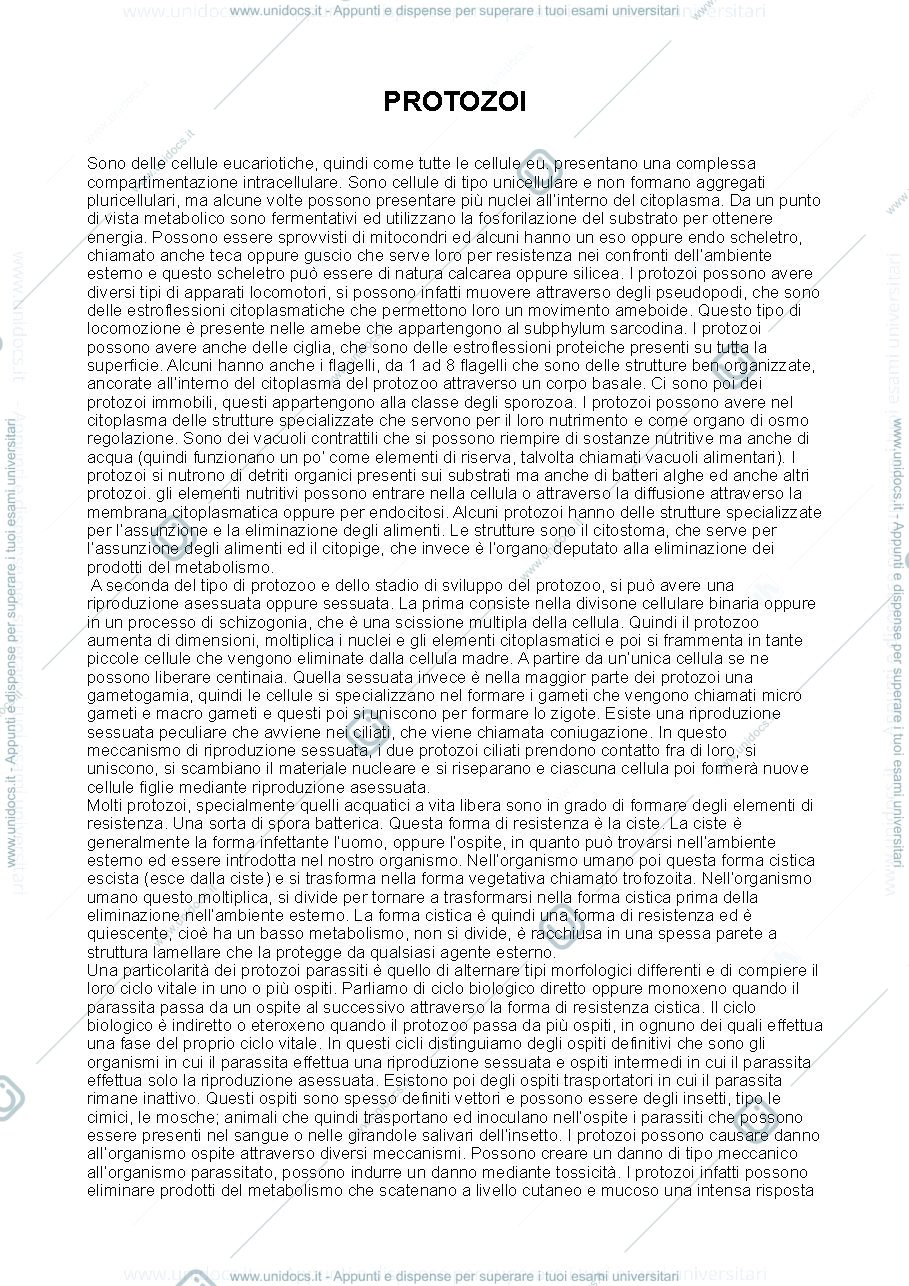 Anteprima pagina 1 — Protozoi