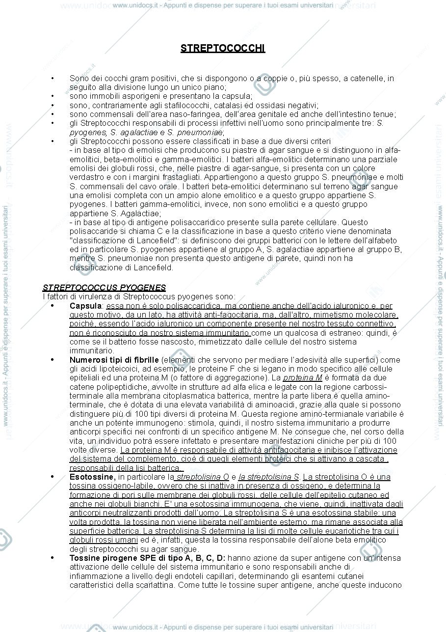 Anteprima pagina 1 — Streptococchi