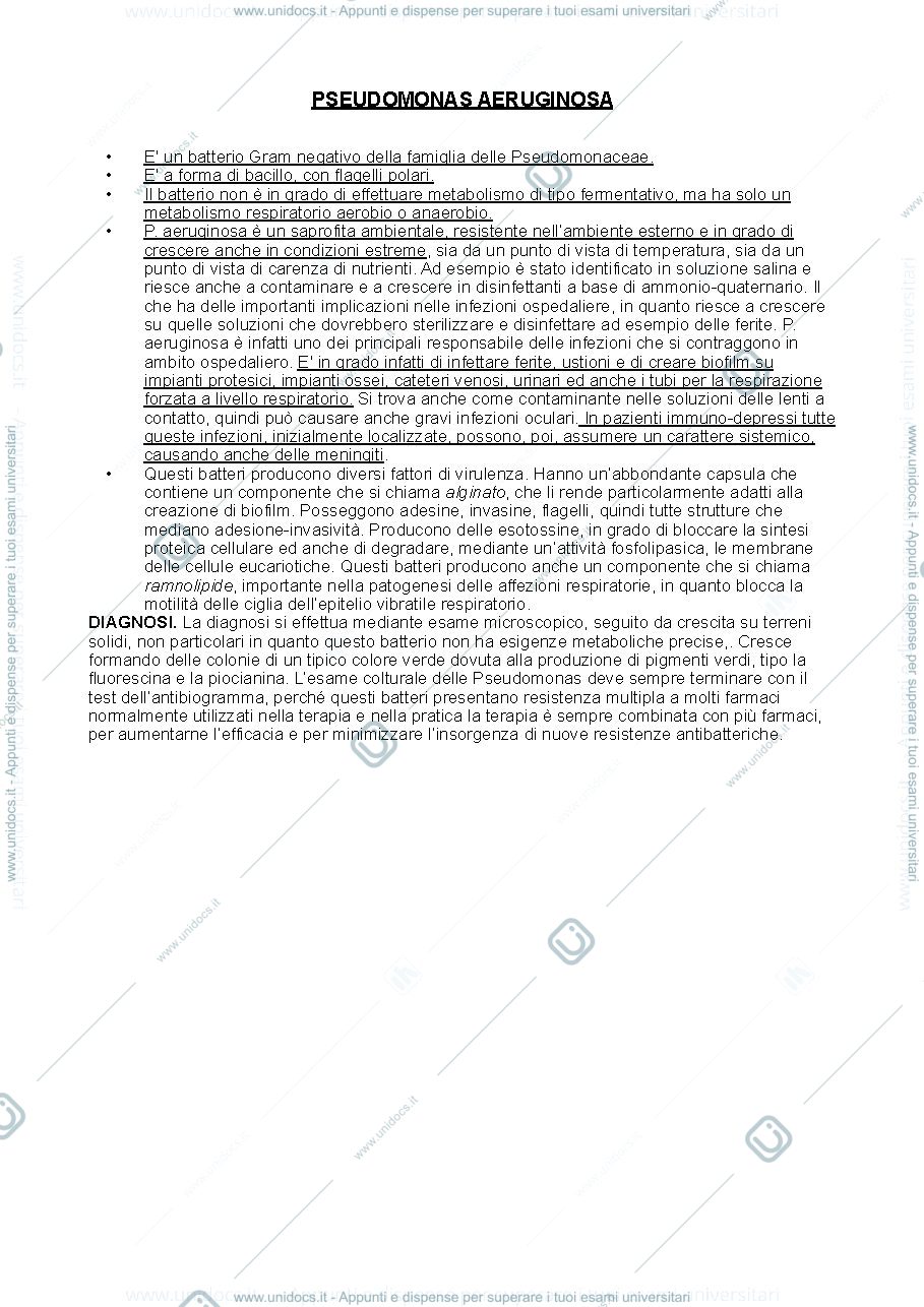 Anteprima pagina 1 — Pseudomonas