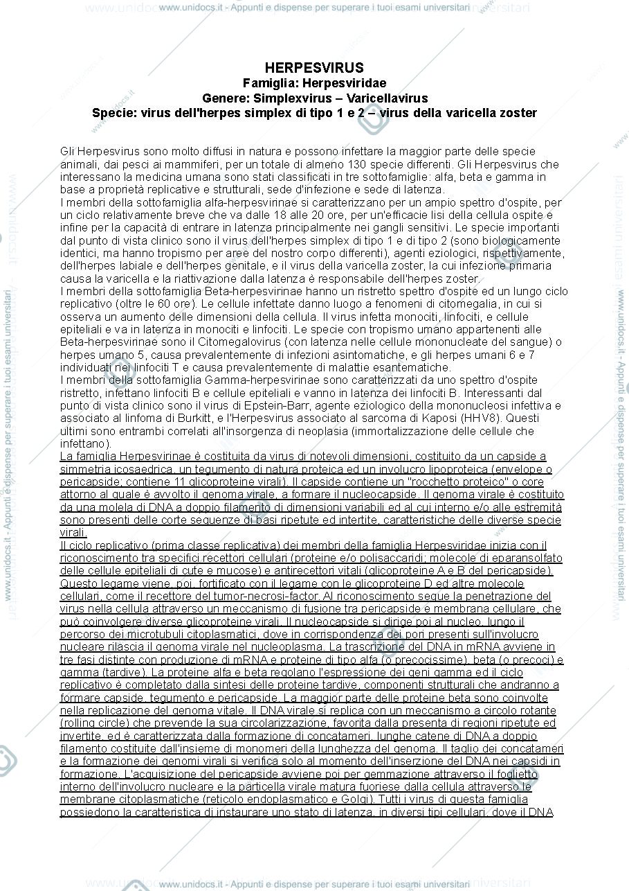 Anteprima pagina 1 — Herpesvirus