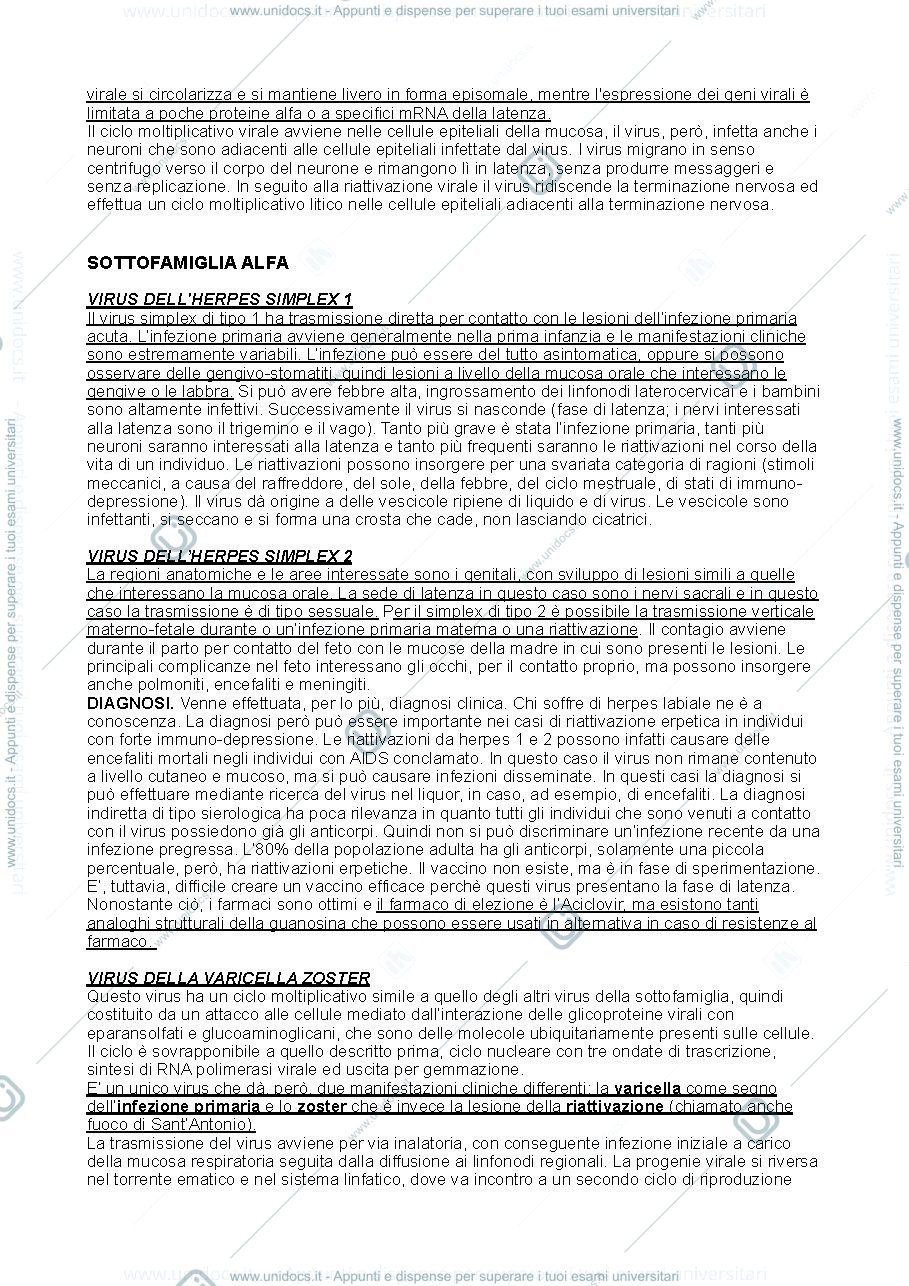 Anteprima pagina 2 — Herpesvirus