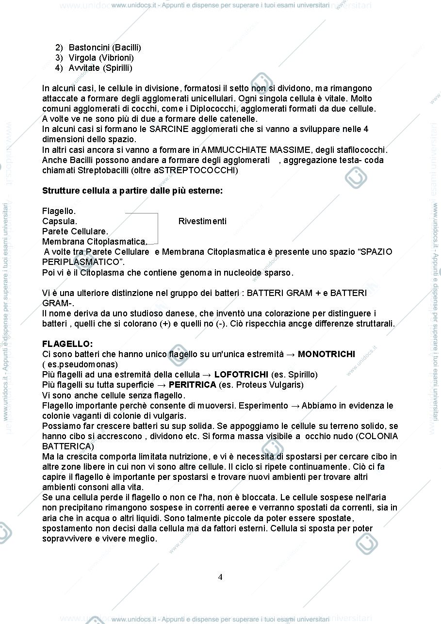 Anteprima pagina 4 — Microbiologia con Laboratorio