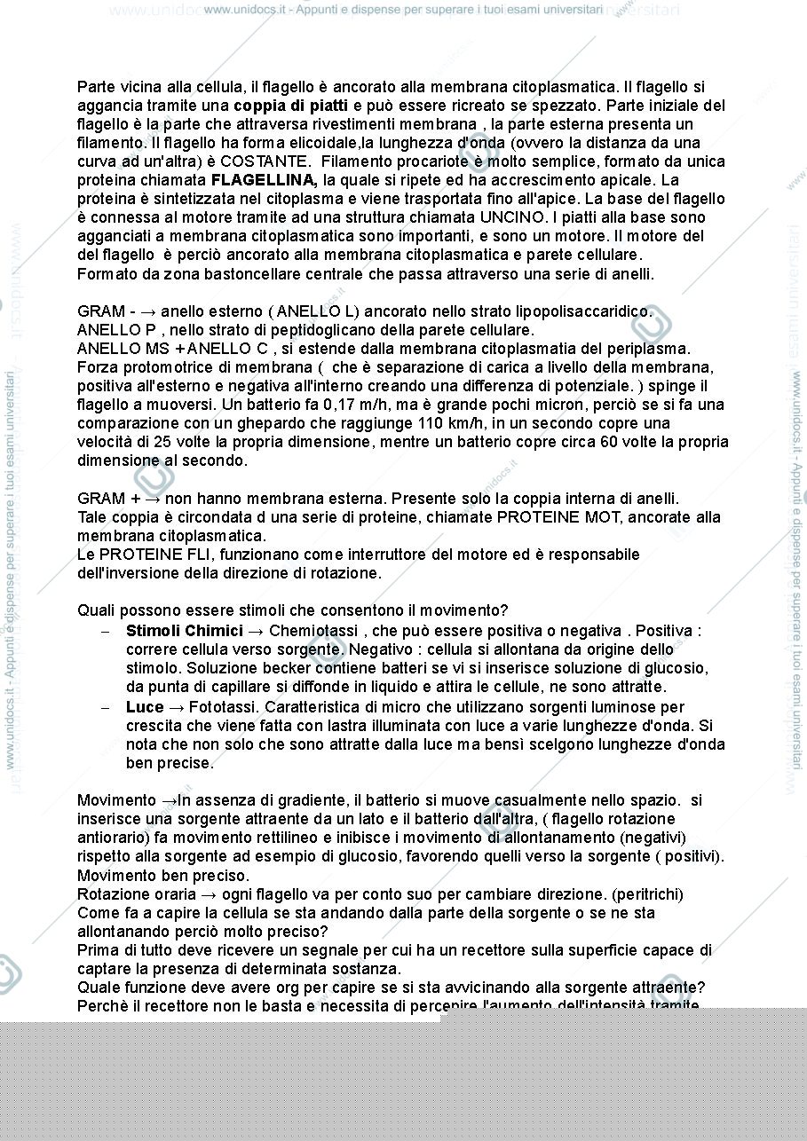 Anteprima pagina 5 — Microbiologia con Laboratorio