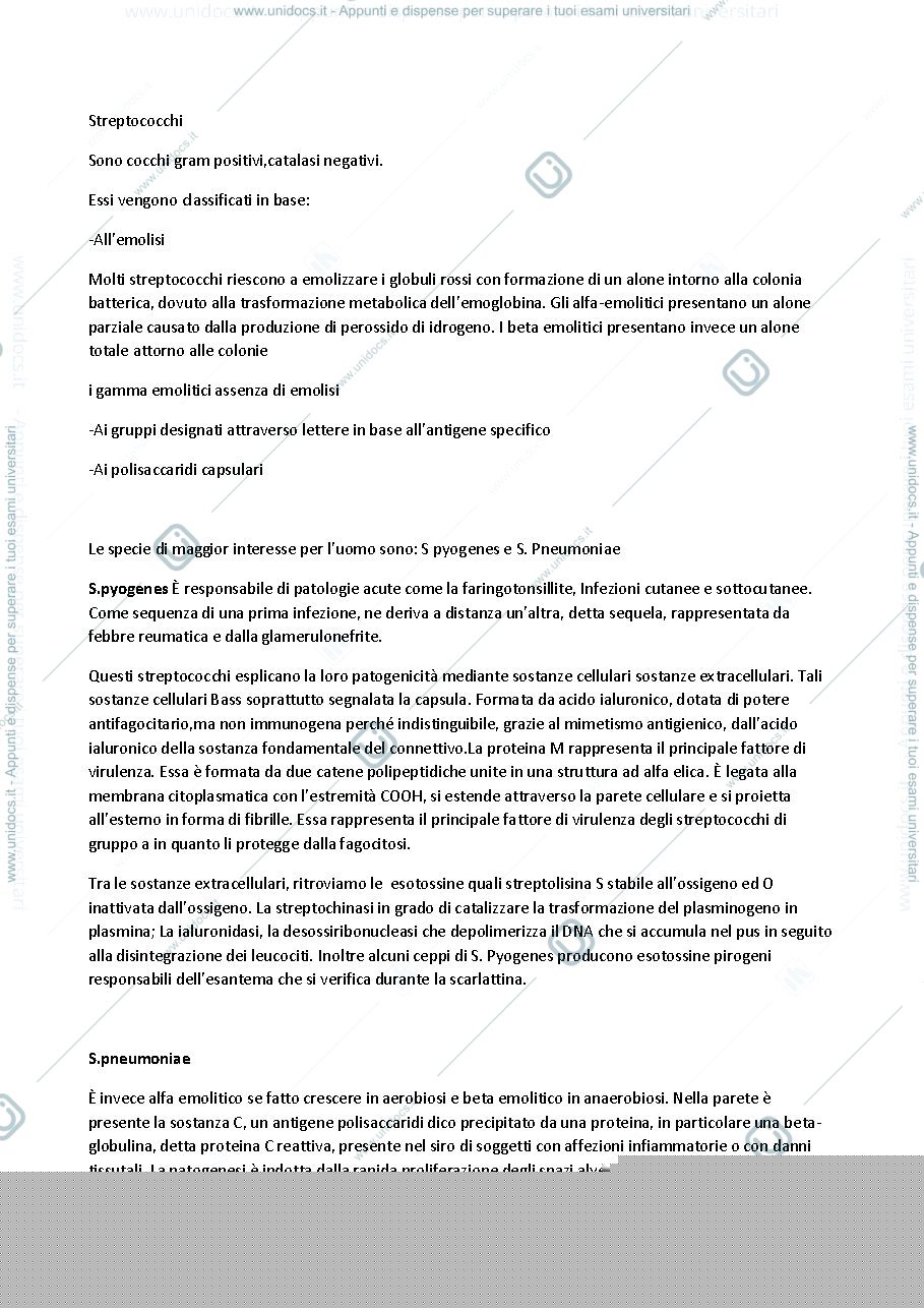 Anteprima pagina 1 — streptococchi