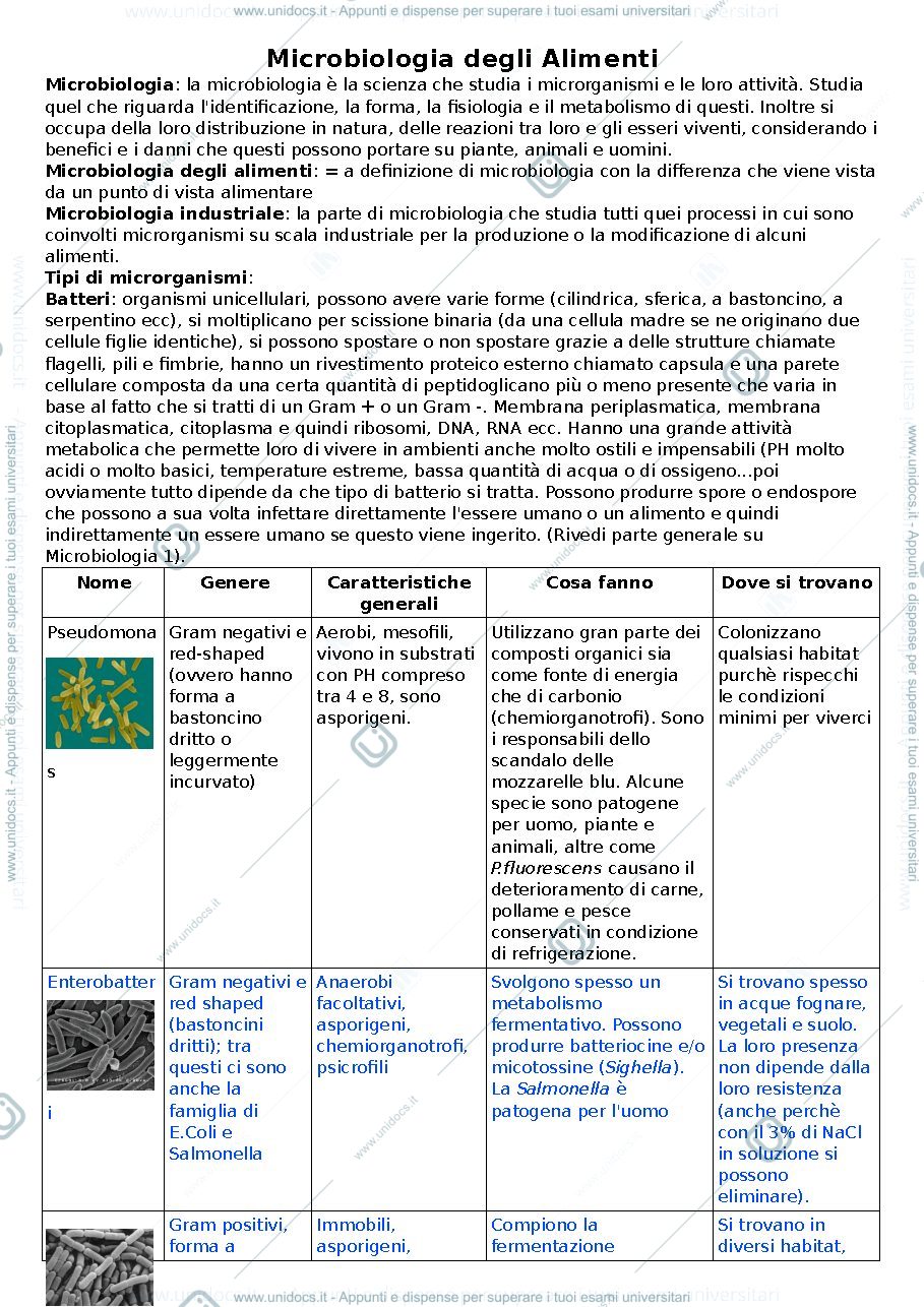 Anteprima pagina 1 — microbiologia dei prodotti alimentari 