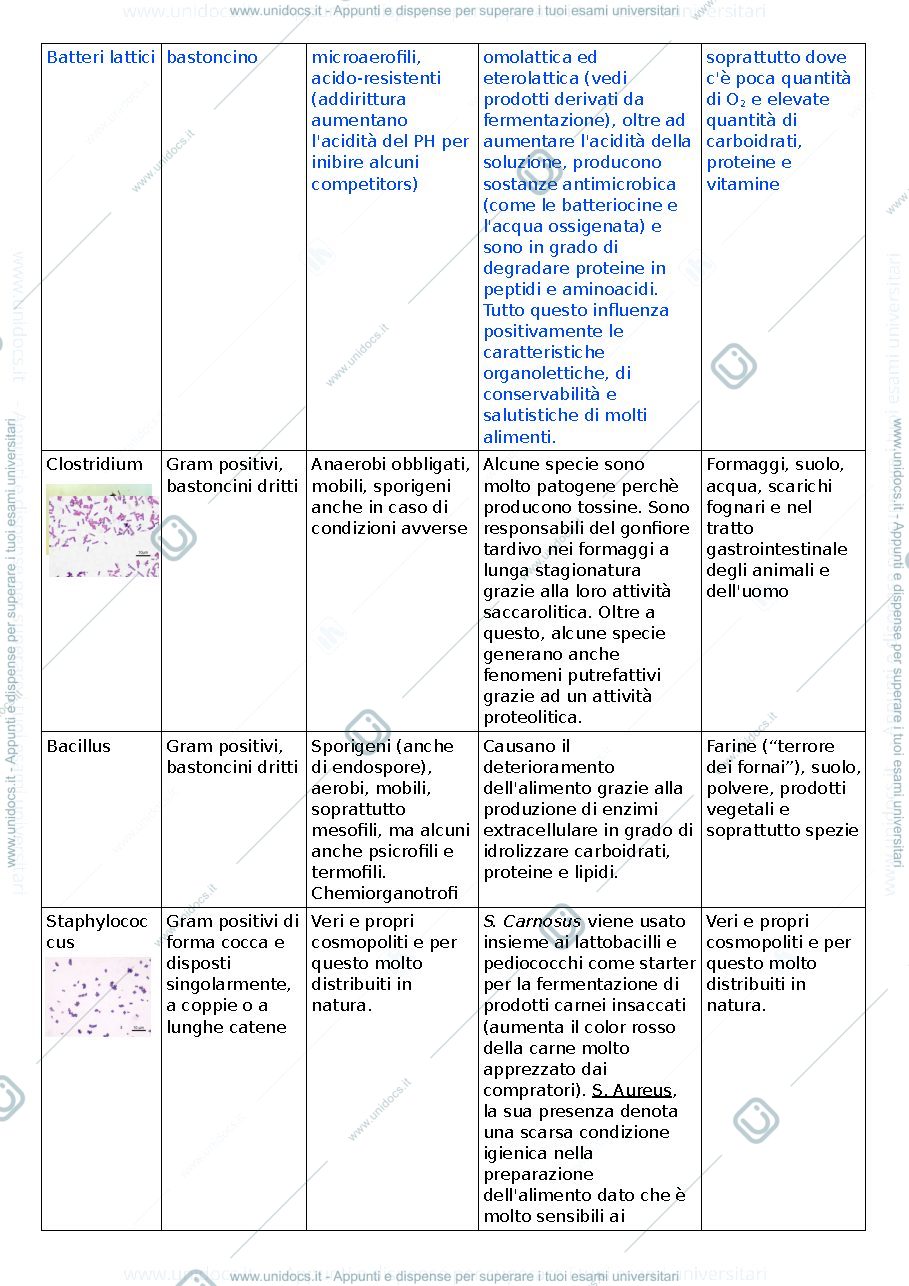 Anteprima pagina 2 — microbiologia dei prodotti alimentari 