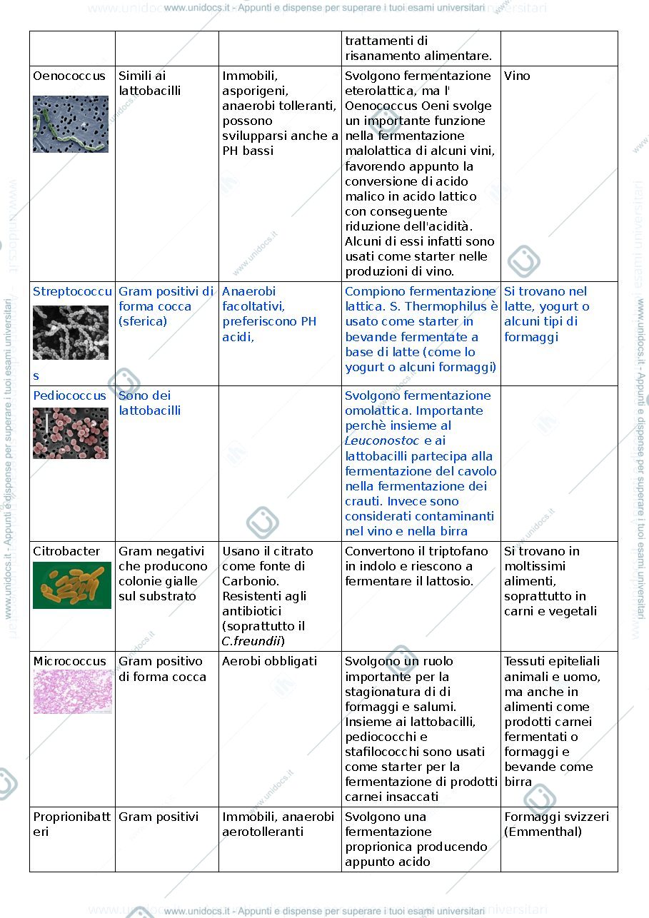Anteprima pagina 3 — microbiologia dei prodotti alimentari 