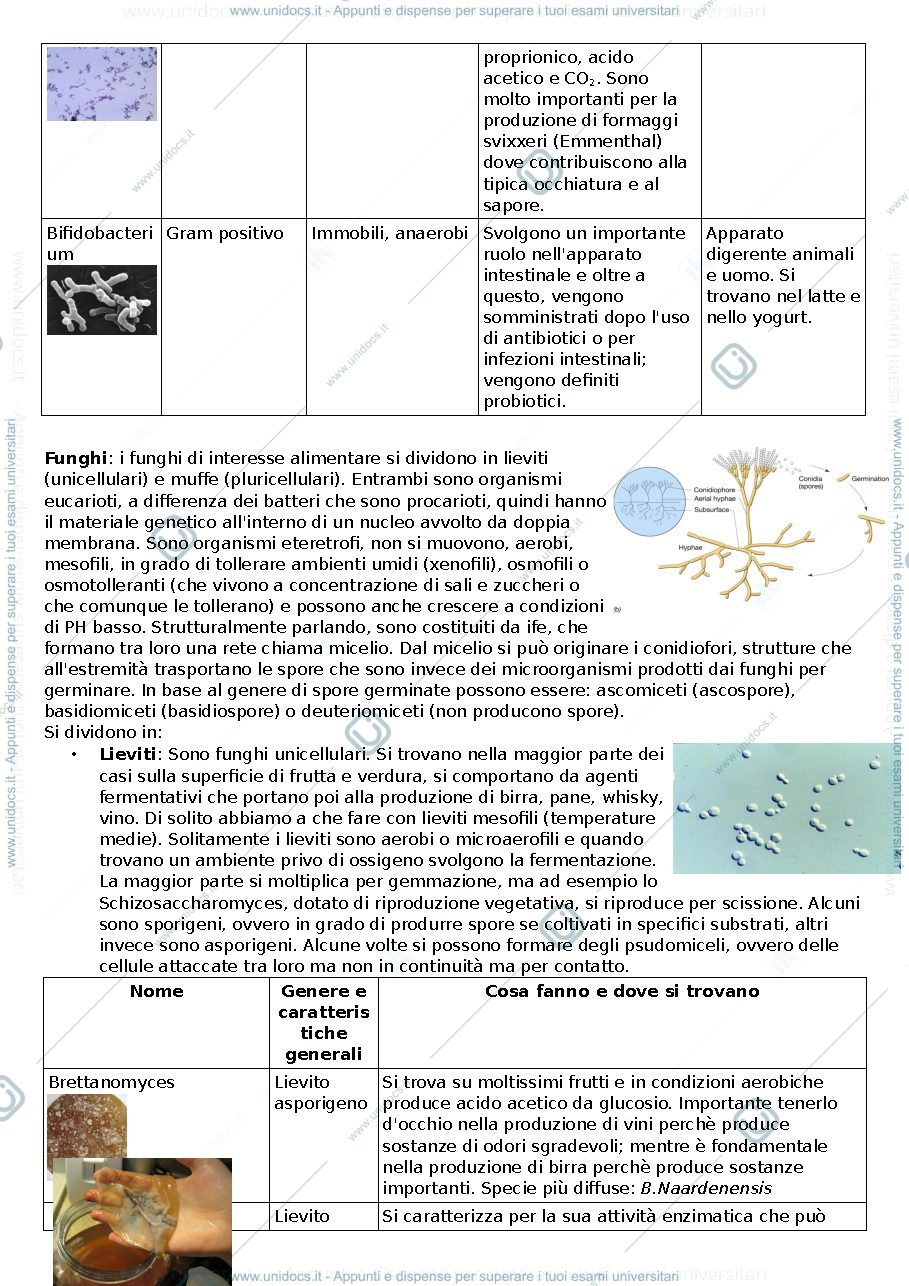 Anteprima pagina 4 — microbiologia dei prodotti alimentari 