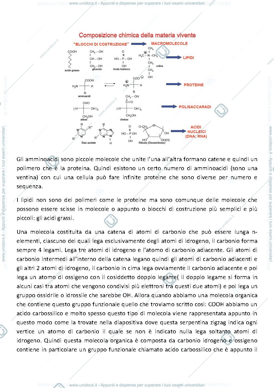 Anteprima pagina 2 — microbiologia
