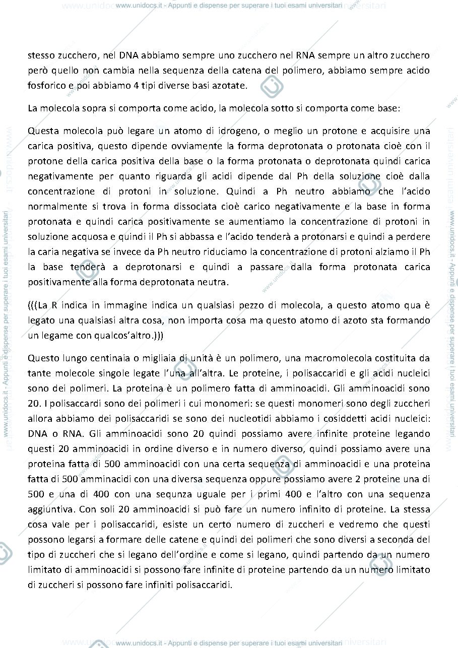 Anteprima pagina 4 — microbiologia