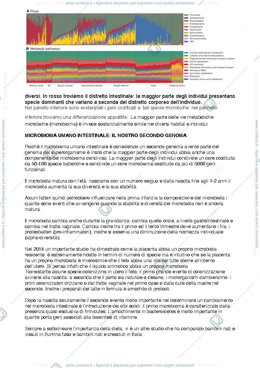Anteprima pagina 4 — Microbiologia - Appunti di lezionI
