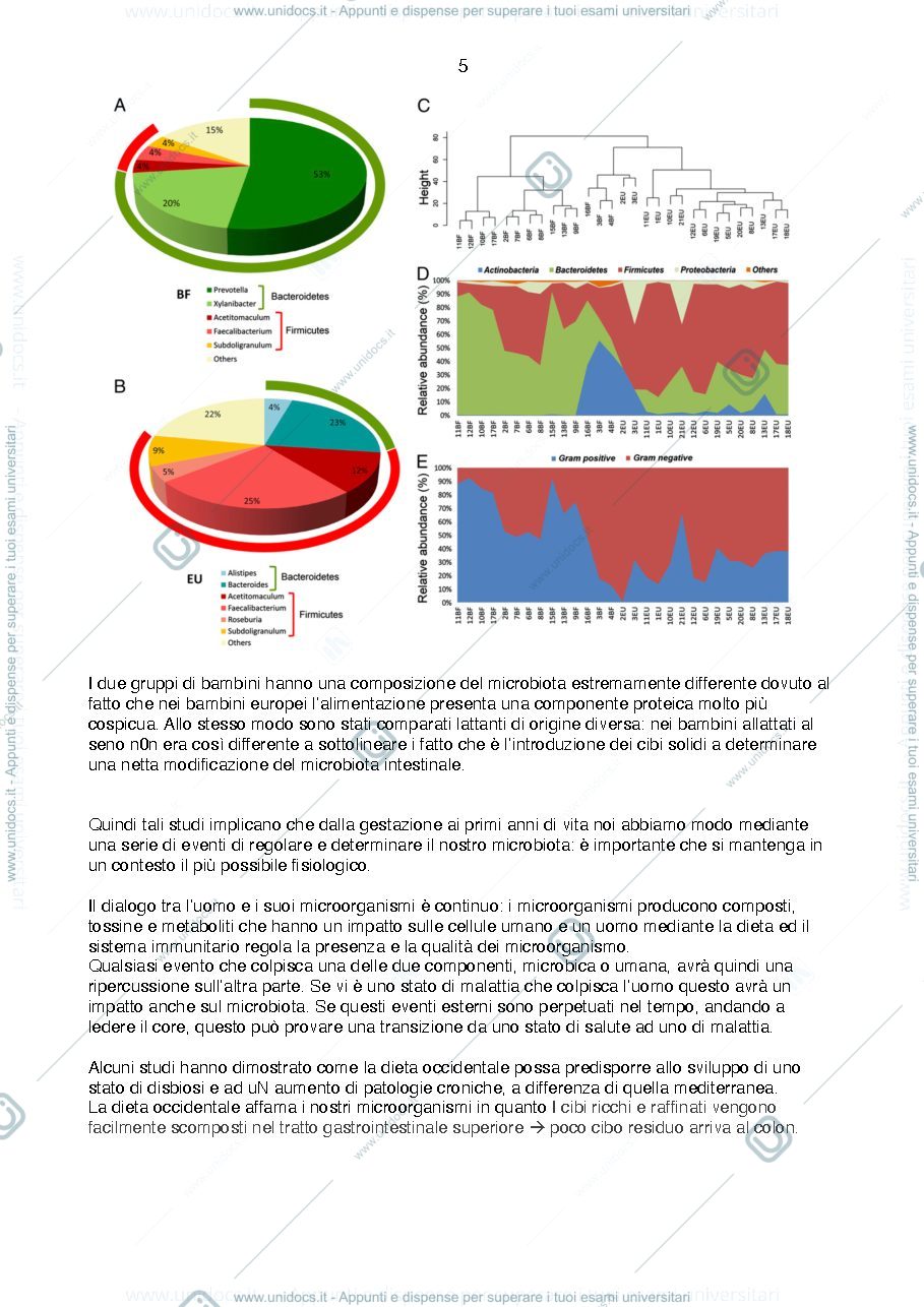 Anteprima pagina 5 — Microbiologia - Appunti di lezionI
