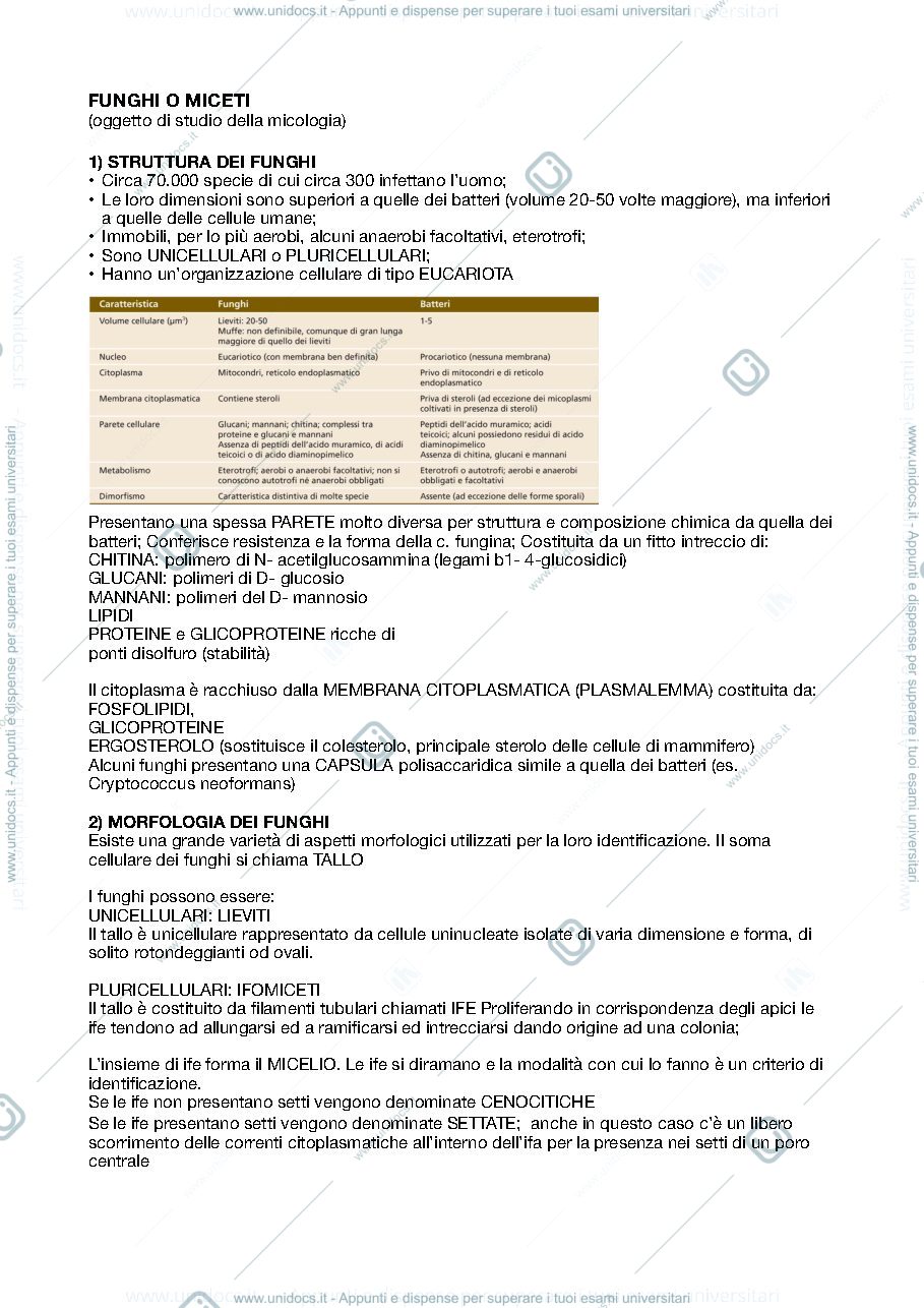 Anteprima pagina 1 — Funghi 