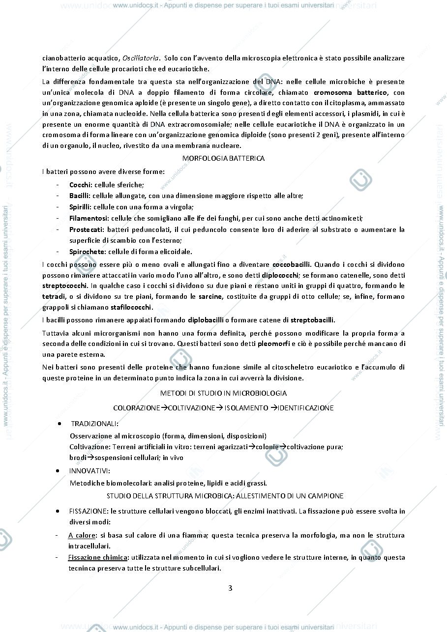 Anteprima pagina 3 — microbiologia