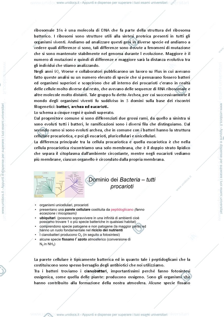 Anteprima pagina 3 — Microbiologia prof baccigalupi