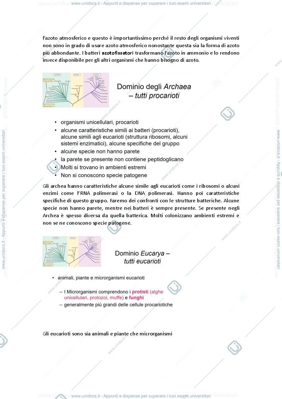 Anteprima pagina 4 — Microbiologia prof baccigalupi