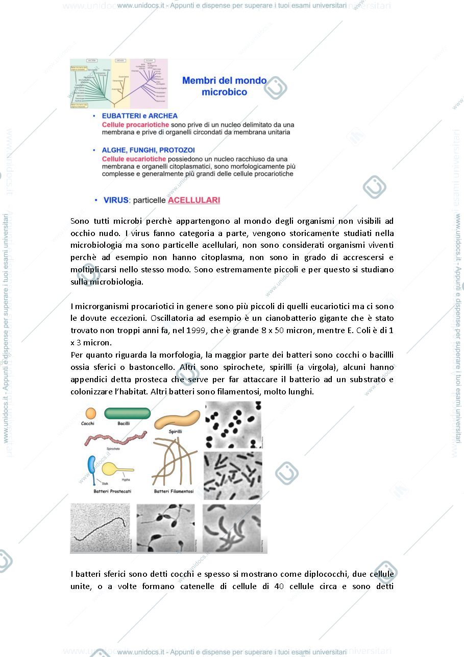 Anteprima pagina 5 — Microbiologia prof baccigalupi