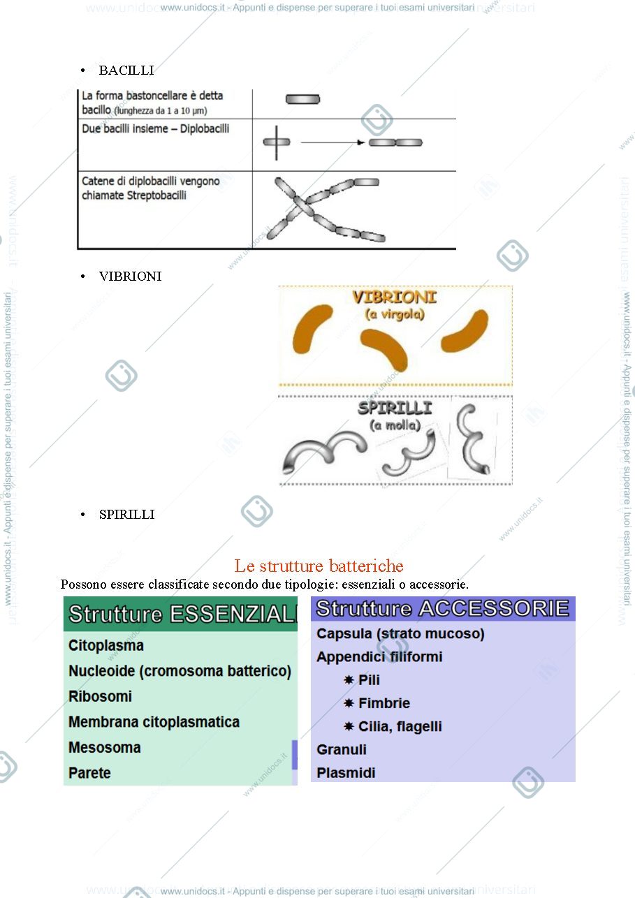 Anteprima pagina 3 — microbiologia 