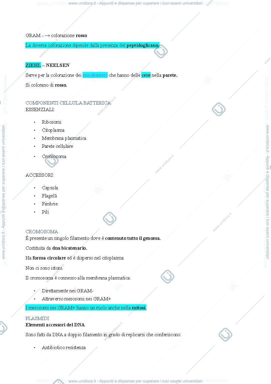 Anteprima pagina 4 — Microbiologia medica