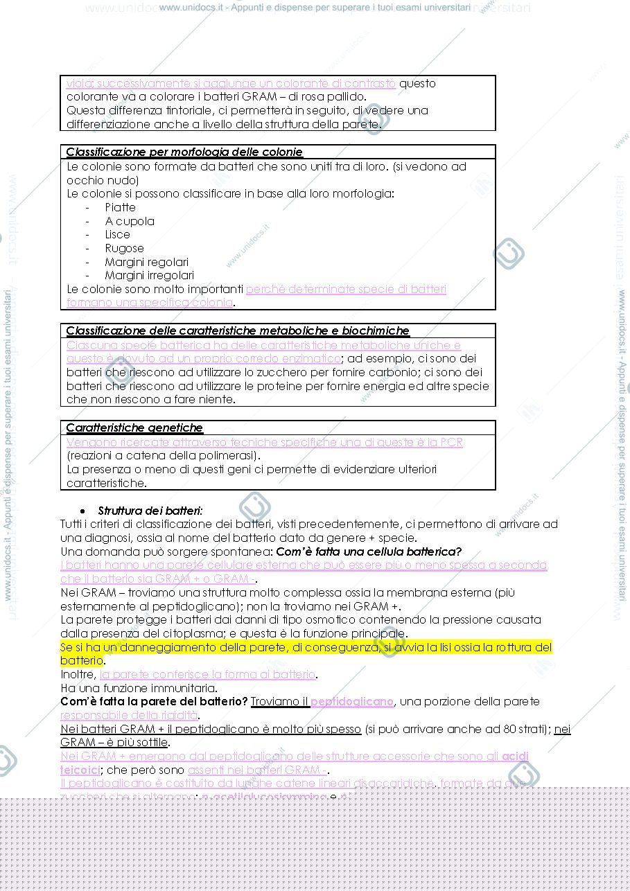 Anteprima pagina 3 — MICROBIOLOGIA 